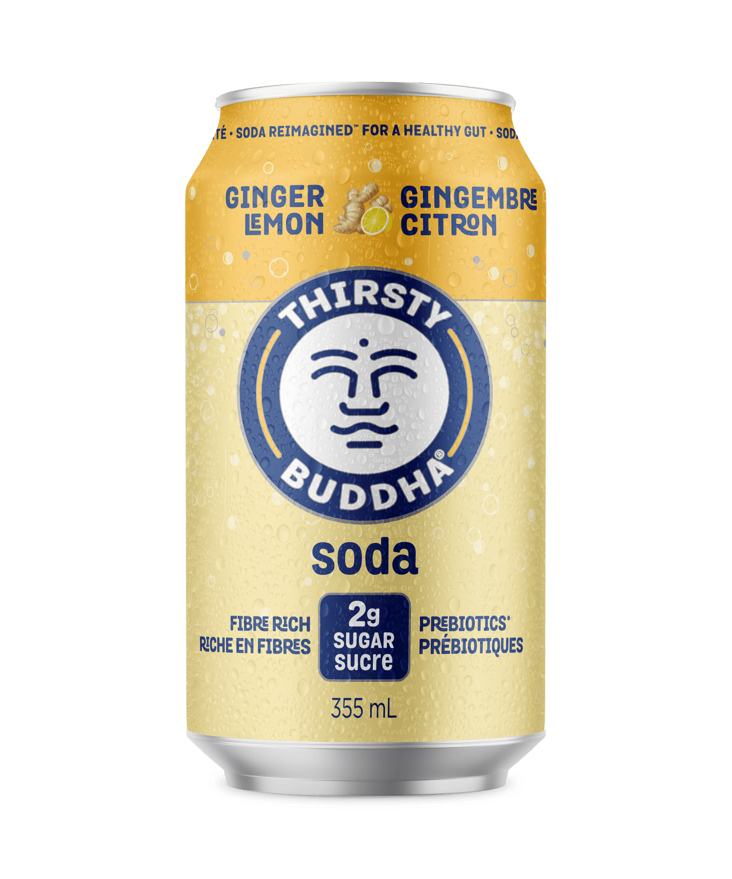 Ginger Lemon Soda